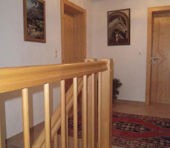 Gapp * إلبيغنالب